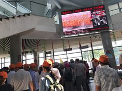 -溱湖国家湿地公园