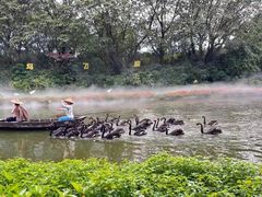 -广州长隆飞鸟乐园