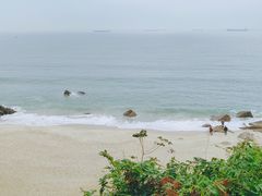 -玫瑰海岸文化旅游度假区