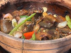 -天宝食坊·啫啫煲大排档(西华路店)