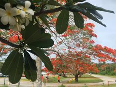 美国纪念公园-美国纪念公园
