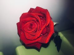 -王荣法仓前羊锅