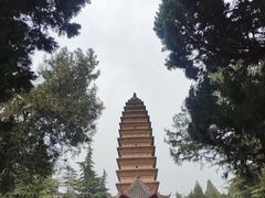 -洛阳白马寺