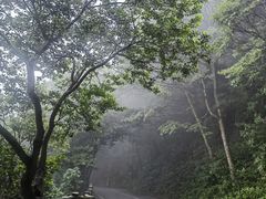 -梧桐山风景名胜区