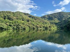 -黄埔油麻山森林公园