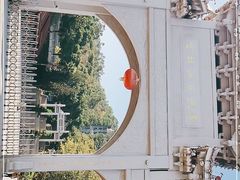 -青礁慈济宫