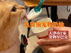 -星巴克(天津鲁能中心第三店)