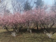 -山东理工大学