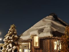 -Blue Concept Cafe&Farm·關於藍