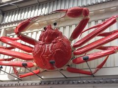 -蟹道乐(道顿堀本店)