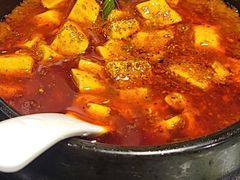 -陈麻婆豆腐总店