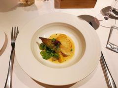 -蝶舍·MAISON PAPILLON