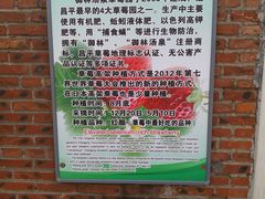 -御林汤泉