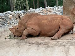 -北京野生动物园