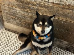 -大水的店(昙华林店)