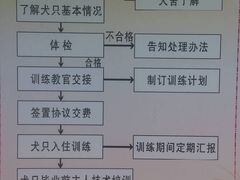 -良成狗狗乐园