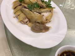 -金苑海鲜酒家(新港中路店)