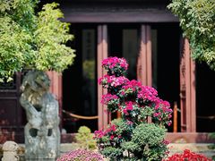 -上海醉白池公园