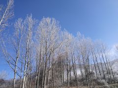 -太子岭滑雪场