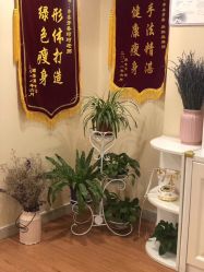-阅年轻·AI家庭健康体质调理