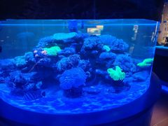 -上和臻品中国菜(花园街店)