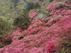 -木兰云雾山