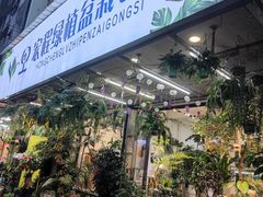 -溪岸路花鸟市场