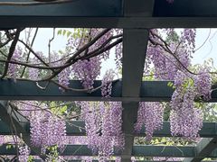 -北京市劳动人民文化宫(太庙)