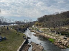 -羊山湖公园