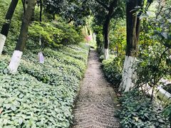 -重庆平顶山公园