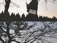 -南沙蒲洲花园