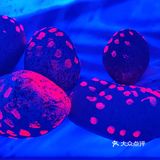 成都｜0元看展｜“巨出片”小众展踩雷