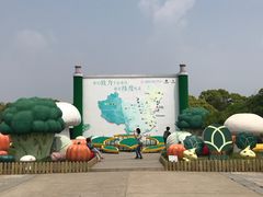 -上海都市菜园