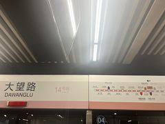 -大望路(地铁站)