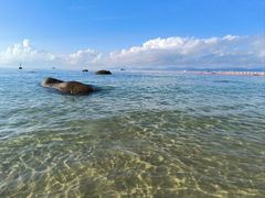 -玫瑰海岸文化旅游度假区
