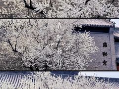 -雍和宫