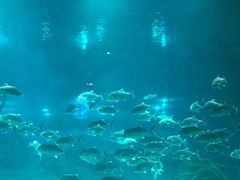 -福州罗源湾海洋世界旅游区