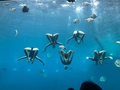 -瑞德姆美人鱼海底演艺主题餐厅(亚龙湾店)