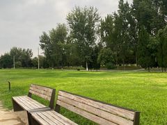 -汉长安城未央宫国家考古遗址公园