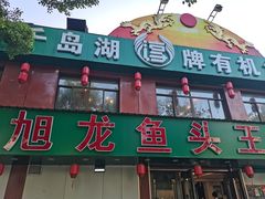 -旭龙鱼头王(航华店)