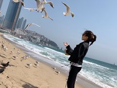 -海云台海滩