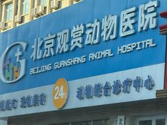-北京观赏动物医院·24小时大型综合·猫专科·异宠专科