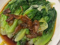 -百利鸽王(紫薇路店)