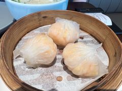 千日贺虾饺皇-千日贺茶餐厅(高新万达店)