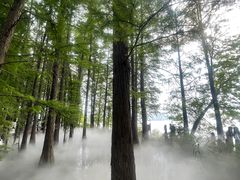 -东湖落雁景区