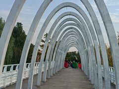 -大兴滨河森林公园