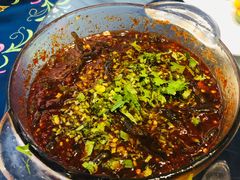 -院8里·少城记忆老川菜(宽窄巷子店)