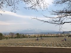 -富田农场