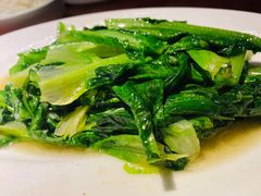 -田婆婆的菜(海口友谊阳光城店)