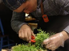 -南城十里潮汕鲜牛火锅·鲜虾生滚粥(融汇老商埠店)